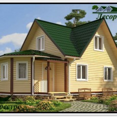 Проект &quot;Бакстер&quot; компании Лесоресурс фото 1 - izzba.ru