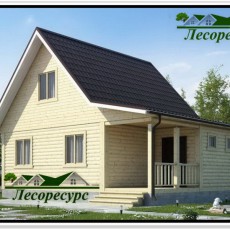 Проект &quot;Диоген&quot; компании Лесоресурс фото 1 - izzba.ru