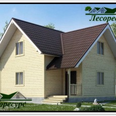 Проект &quot;Монтескье&quot; компании Лесоресурс фото 1 - izzba.ru