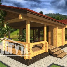 Проект Баня Душевный-75 компании Могута фото 3112 - izzba.ru